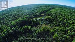 799 MAPLE HILL ROAD Powassan, ON P0H 1Z0