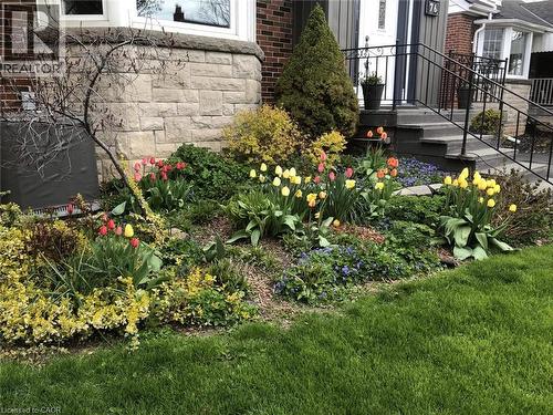 76 Knyvet Avenue, Hamilton, ON - Outdoor