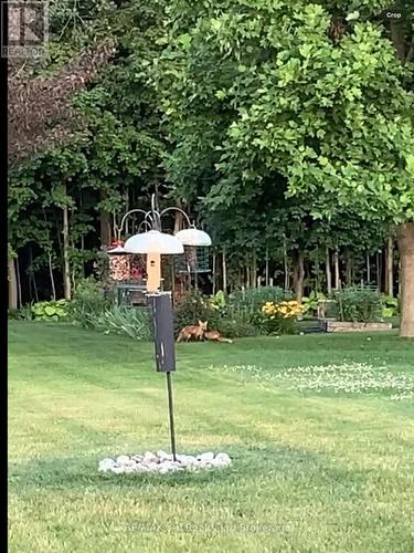 90 Weston Drive, Tillsonburg, ON - Outdoor