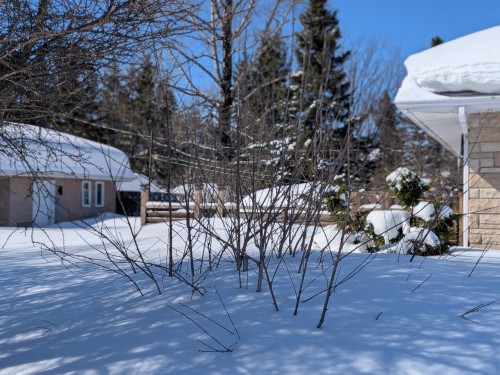 Courtyard - 72 8E Avenue E., Amos, QC - Outdoor