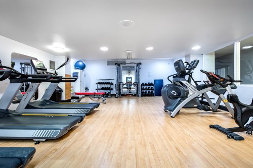 Salle d'exercice - 509-5720 Boul. Cavendish, Côte-Saint-Luc, QC - Indoor Photo Showing Gym Room