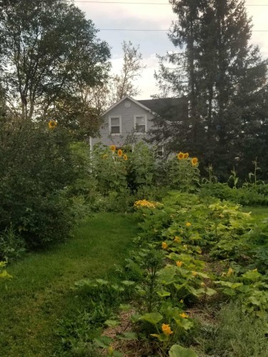 Cour - 1197Z Route 101, Nédélec, QC - Outdoor