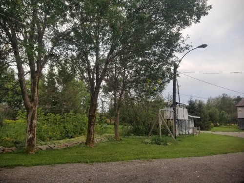 Cour - 1197Z Route 101, Nédélec, QC - Outdoor