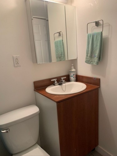 Bathroom - 286A 6E Avenue, Montréal (Lasalle), QC - Indoor Photo Showing Bathroom