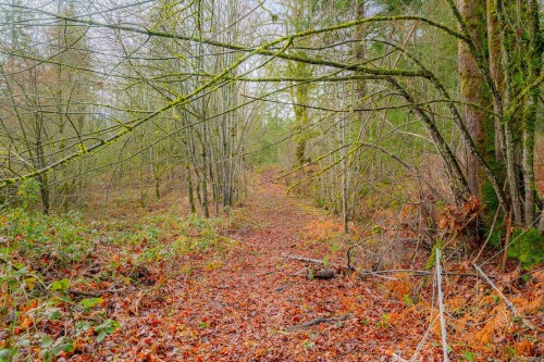 4935 Langtry Rd, Duncan, BC 