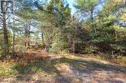 2 PARKER BAY ROAD Whitestone, ON P0A 1G0