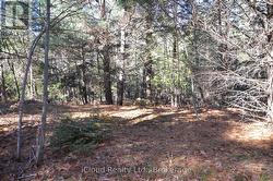 3 PARKER BAY ROAD Whitestone, ON P0G 1G0