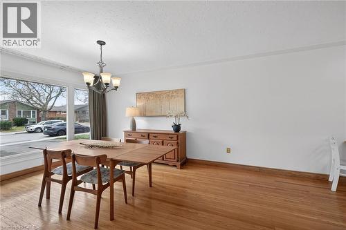 19 Burfield Avenue, Hamilton, ON - Indoor Photo Showing Dining Room