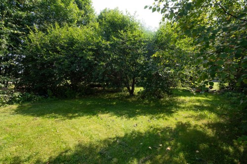 Extérieur - 351 Ch. Taché E., Saint-Marcel, QC - Outdoor