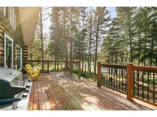 - Fork Stream, Canaan, NB 