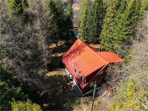 - Fork Stream, Canaan, NB 