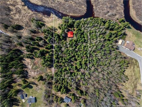 - Fork Stream, Canaan, NB 