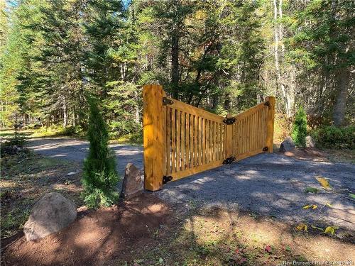 - Fork Stream, Canaan, NB 