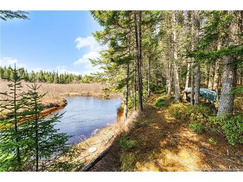 - Fork Stream, Canaan, NB 