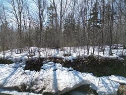 Lot Cloverdale Road Maryvale, NS B2G 2L1