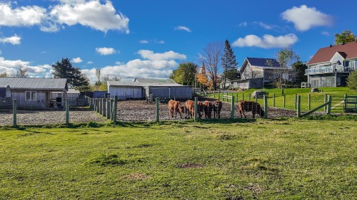 Autre - 1030 Rue St-Camille, Saint-Jérôme, QC 