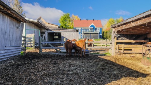Vue d'ensemble - 1030 Rue St-Camille, Saint-Jérôme, QC 