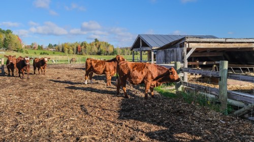 Autre - 1030 Rue St-Camille, Saint-Jérôme, QC 