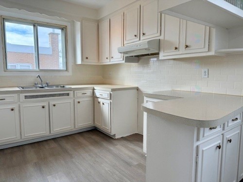 Kitchen - 792 Ch. Du Sablon, Laval (Chomedey), QC - Indoor Photo Showing Kitchen With Double Sink