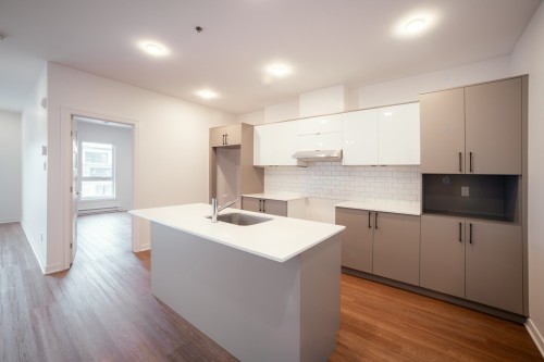 Cuisine - 207-900 Rue Notre-Dame, Repentigny (Repentigny), QC - Indoor Photo Showing Kitchen