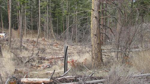 Dunwaters Road, Fintry, BC - Outdoor With View