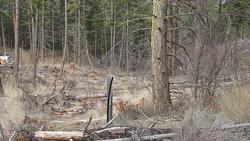 Dunwaters Road  Fintry, BC V1T 3W4