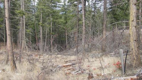 Dunwaters Road, Fintry, BC - Outdoor With View