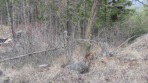 Dunwaters Road, Fintry, BC - Outdoor With View