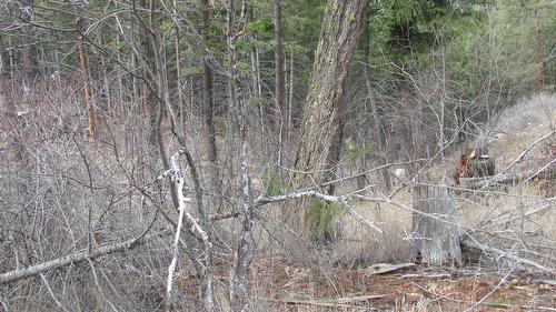 Dunwaters Road, Fintry, BC -  With View