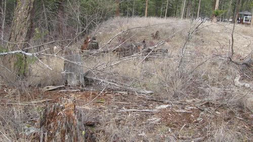 Dunwaters Road, Fintry, BC - 