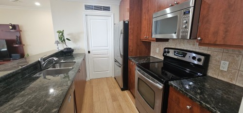 Cuisine - 1004-320 Ch. De La Rive-Boisée, Montréal (Pierrefonds-Roxboro), QC - Indoor Photo Showing Kitchen With Double Sink