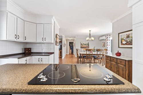Vue d'ensemble - 225 Rue Ste-Catherine, Saint-Polycarpe, QC - Indoor