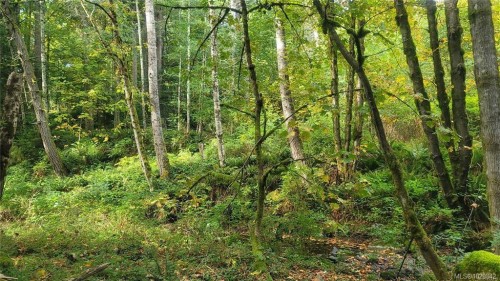 3025 Manzer Rd, Sooke, BC 