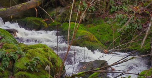 3025 Manzer Rd, Sooke, BC 