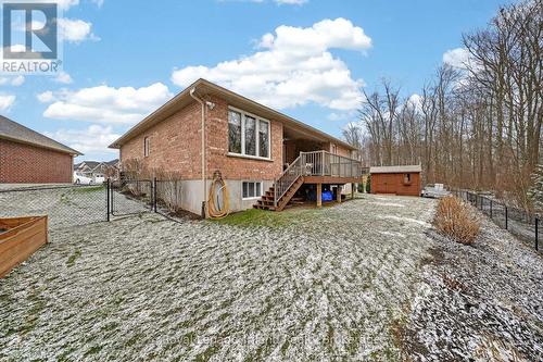 Back and Shed - 46 Colin Avenue, Tillsonburg, ON - Outdoor