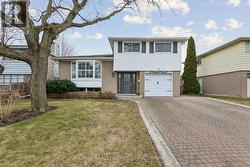12 FERNDALE CRESCENT Brampton, ON L6W 1E9