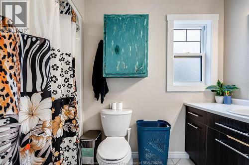 496 County Rd 34, Ruthven, ON - Indoor Photo Showing Bathroom