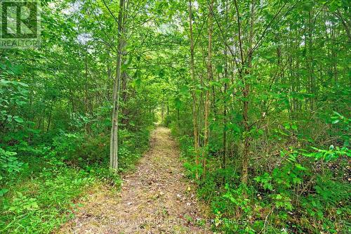 594 Doans Ridge Road, Welland (Cooks Mills), ON - Outdoor