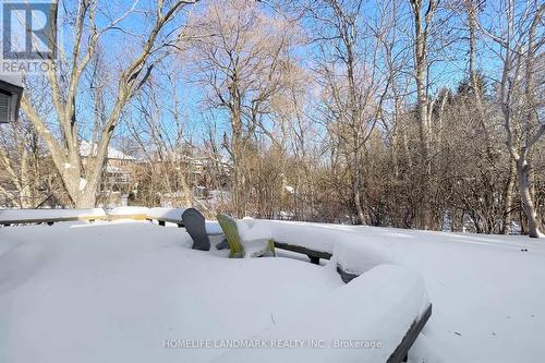 16 Willis Drive, Aurora, ON - Outdoor With View