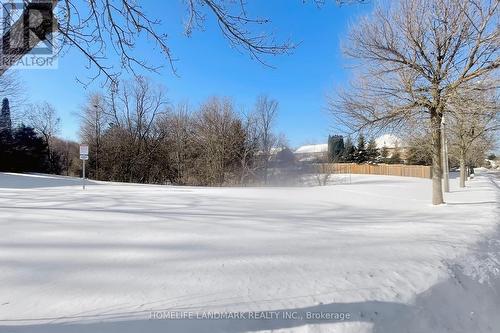16 Willis Drive, Aurora, ON - Outdoor With View