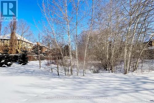 16 Willis Drive, Aurora, ON - Outdoor With View