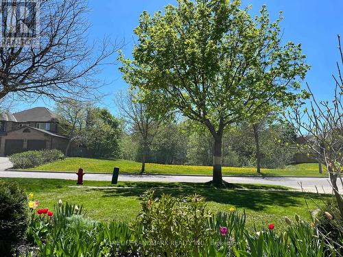 16 Willis Drive, Aurora, ON - Outdoor