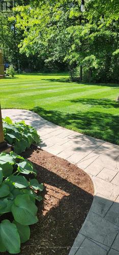 Rear yard - 506 Murdock Avenue, Fort Erie (Lakeshore), ON - Outdoor
