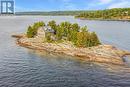 1 Three Tree Island, Mcdougall, ON  - Outdoor With Body Of Water With View 