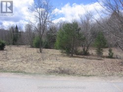 2.6 ACRES NORLEY DRIVE Algonquin Highlands, ON K0M 1S0