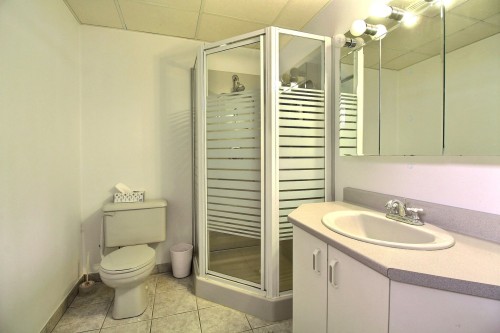 Bathroom - 520 6E Rang, Courcelles/Saint-Évariste, QC - Indoor Photo Showing Bathroom