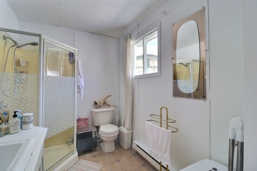 Salle de bains - 4126 Ch. Létourneau, Rouyn-Noranda, QC - Indoor Photo Showing Bathroom