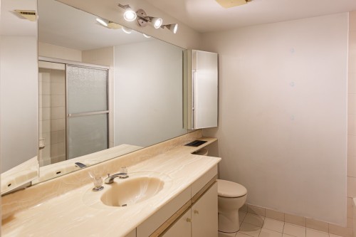 Salle de bains - 7C-6111 Av. Du Boisé, Montréal (Côte-Des-Neiges/Notre-Dame-De-Grâce), QC - Indoor Photo Showing Bathroom