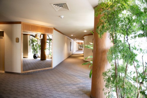 Réception - 7C-6111 Av. Du Boisé, Montréal (Côte-Des-Neiges/Notre-Dame-De-Grâce), QC - Indoor Photo Showing Other Room