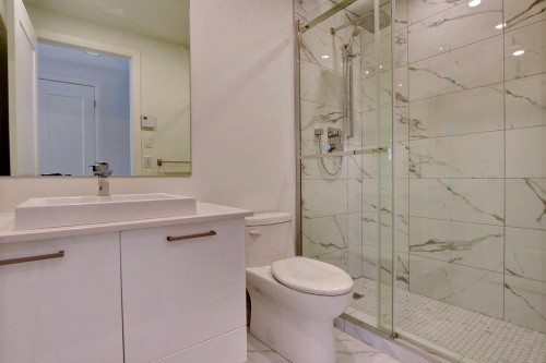 Salle de bains - 302-510 Boul. Des Prairies, Laval (Laval-Des-Rapides), QC - Indoor Photo Showing Bathroom